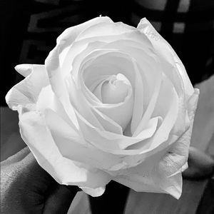 Meet your Posher, Kiana